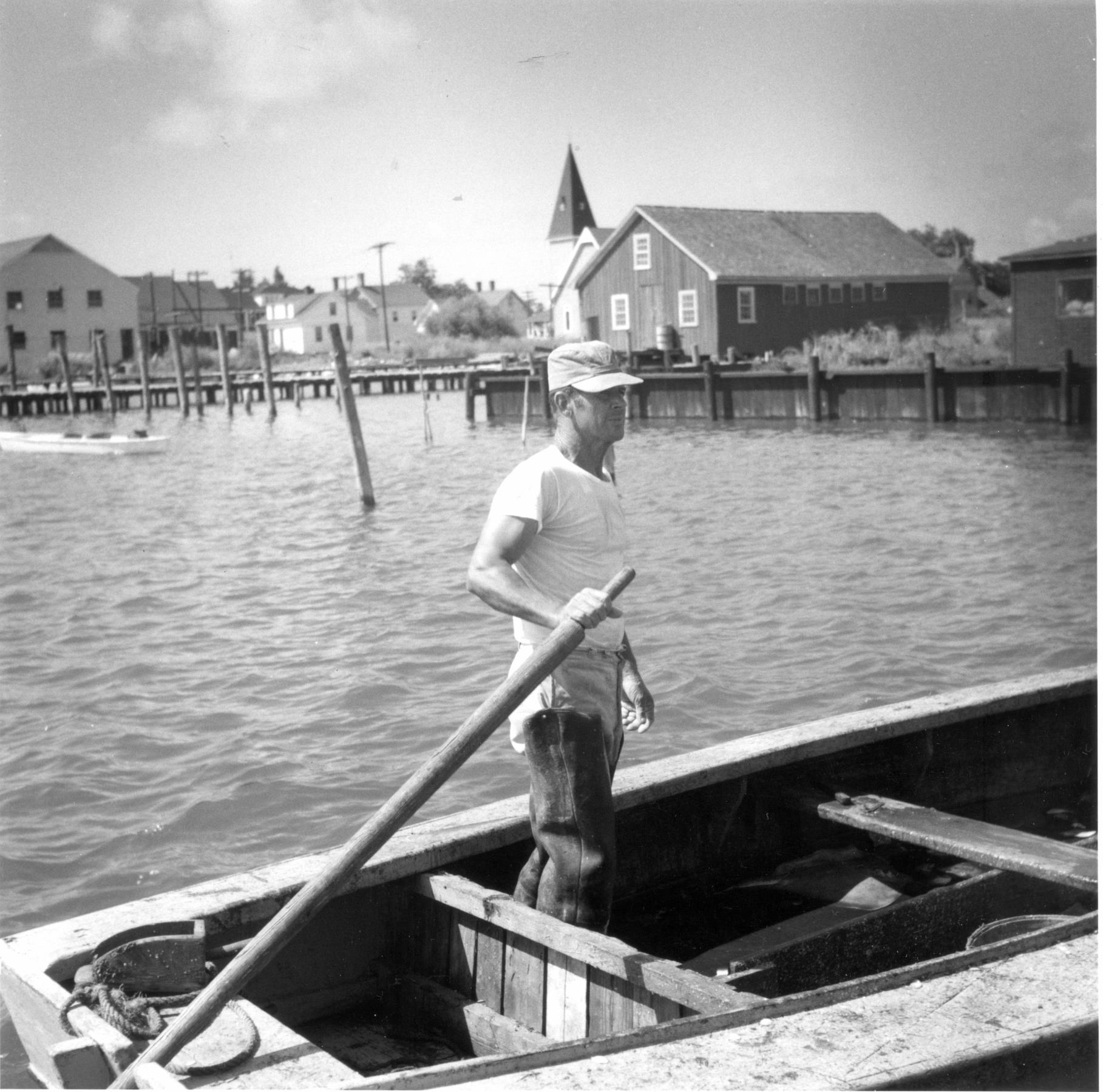 CBMM catalog image